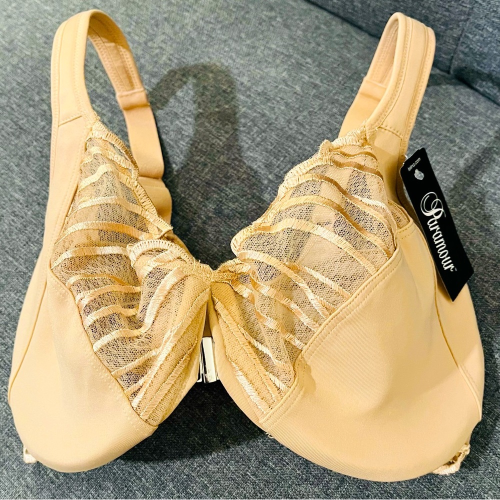 Paramour Bra